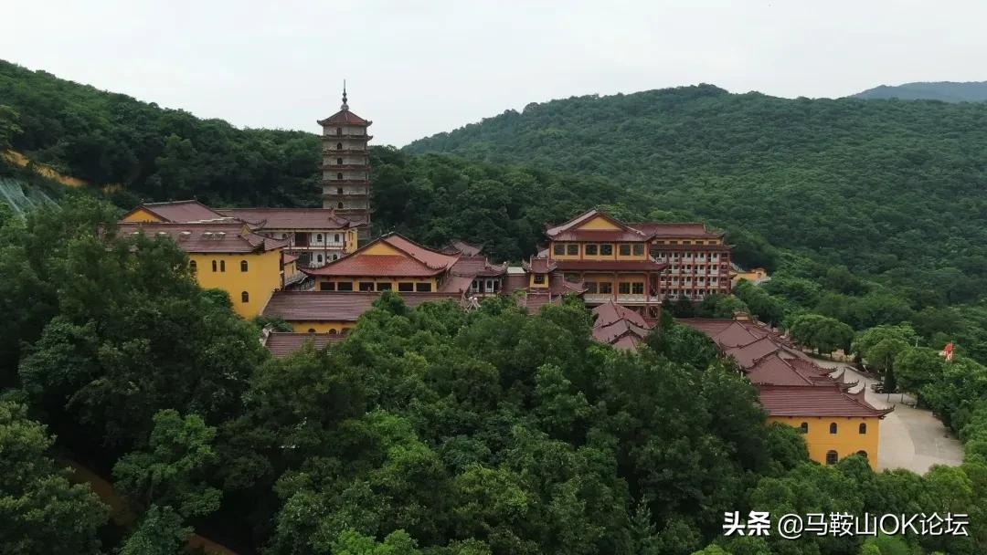 丁真全明星大乱斗图,丁真全明星大乱斗