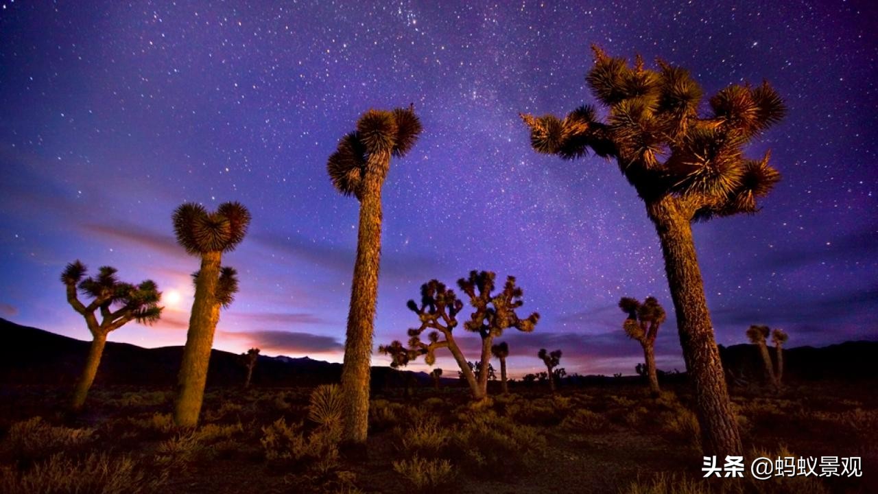 蒙太奇如何学习,蒙太奇理解