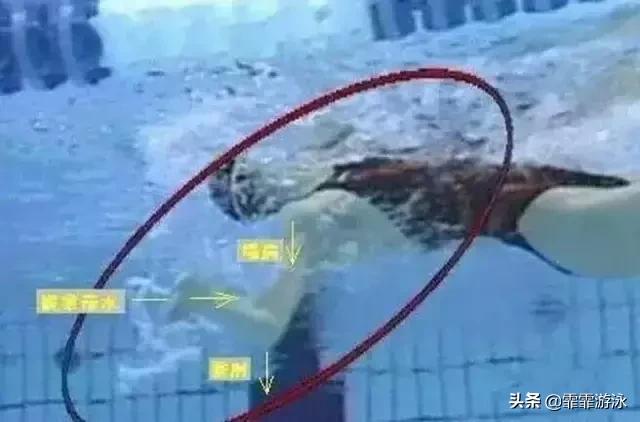 仰泳老是呛水是怎么回事啊,仰泳时鼻子呼气也呛水