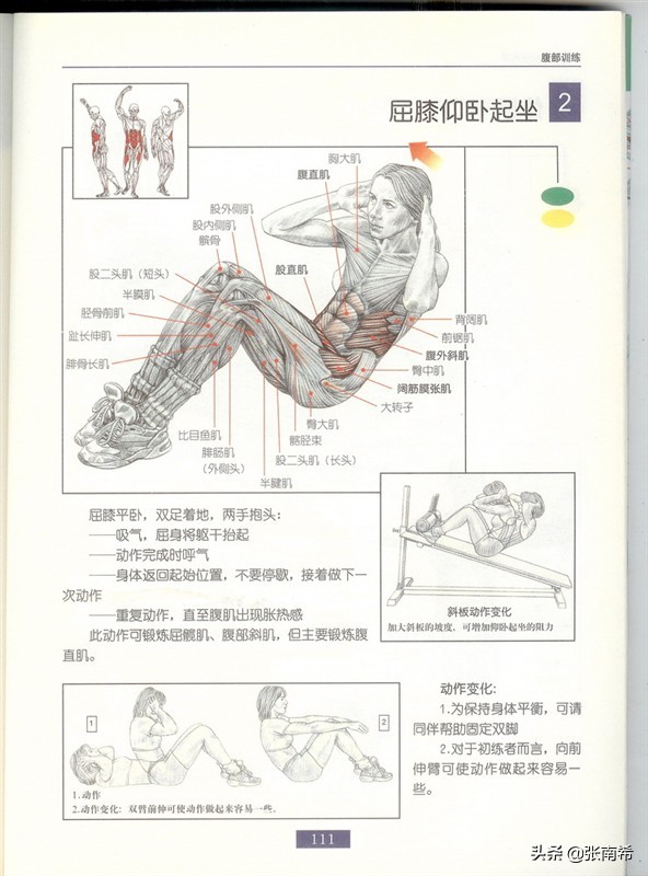 男士健身的进阶之路,男士运动健身全攻略