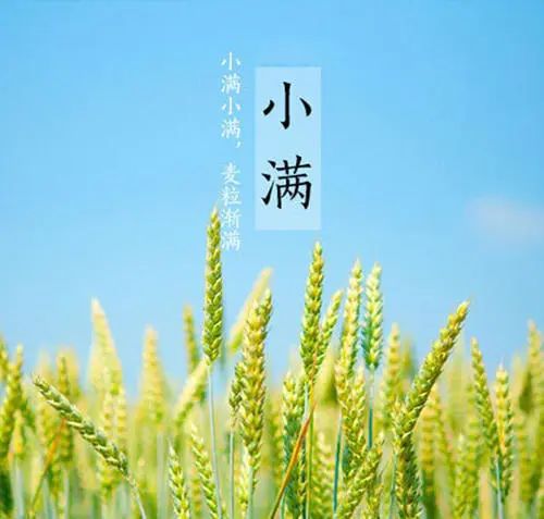 小满时节，湿热缠身，干了这碗薏仁陈皮水鸭汤