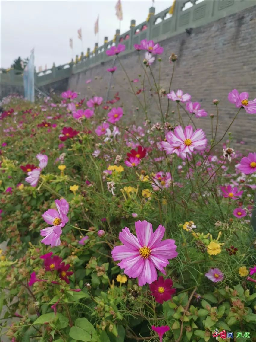 从八百里瀚海到三大寺：3分钟纵览美丽库伦