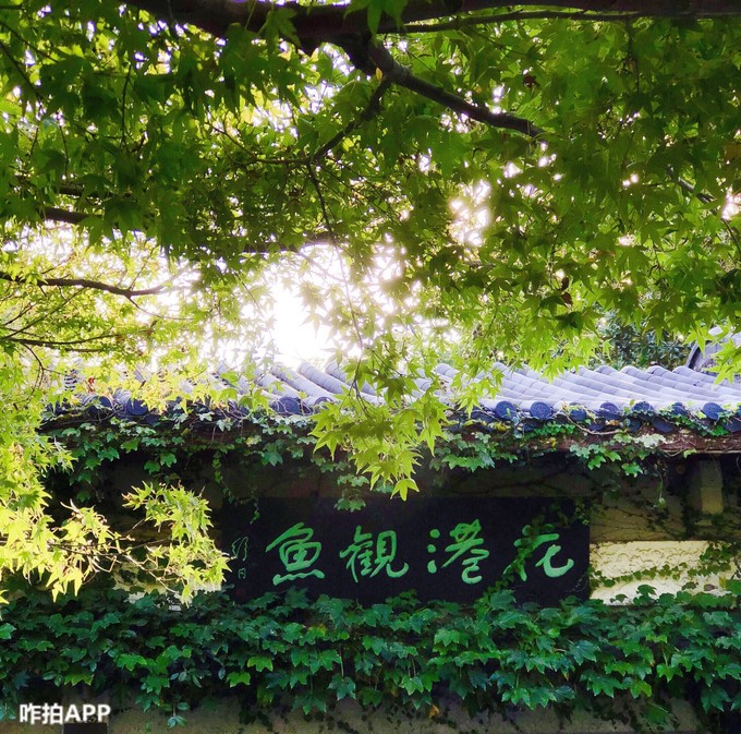 杭州景点拍照攻略路线推荐,杭州西湖怎么拍好看的风景照