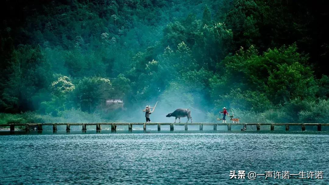 躲开了那条咬人的狗,躲开那条咬人的狗狗