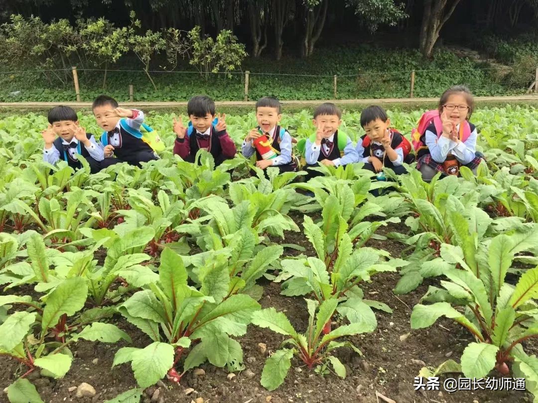 幼儿园秋游亲子舞蹈,幼儿园亲子秋游通知