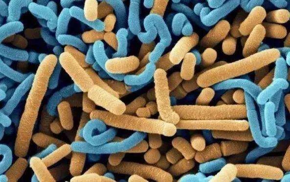 科学育儿这样给宝宝补钙铁锌,钙铁锌维生素ddha