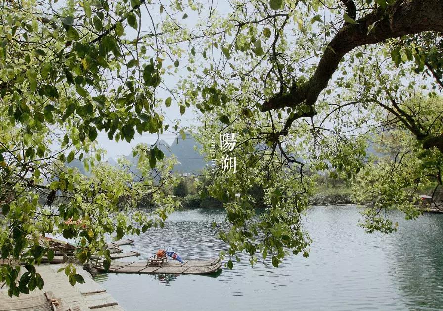 高效摄影,摄影慢动作