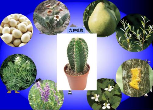 浠欎汉鎺岀棙鑲屼慨鎶よ啅,鐪嬪畬鐥樼棙浠ュ悗鎰熻鏇翠弗閲嶄簡