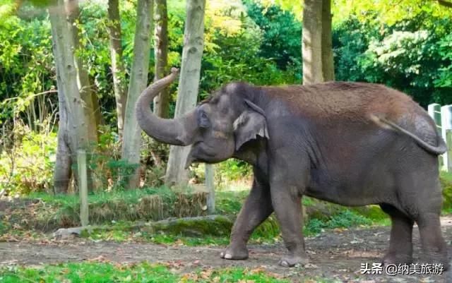西雅图一生必去的景点,西雅图旅游攻略必去景点大全