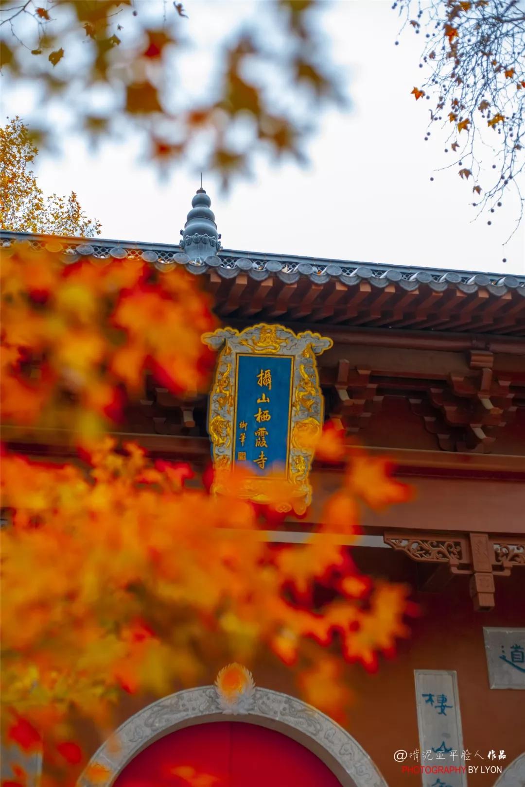 南京是属于哪个省的,南京是现在的哪个城市