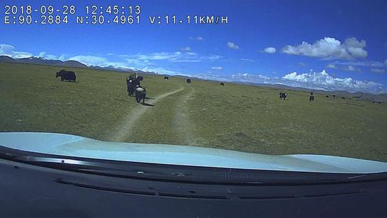 *藏西**大环线第35天：导航输入错误，走了个不收门票不一样的纳木措