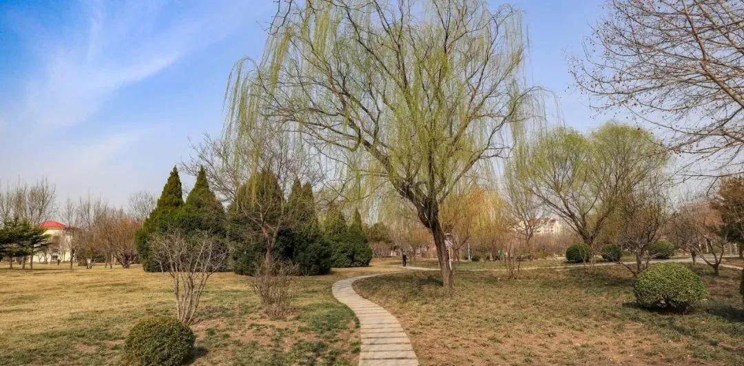 准备好了吗?亮码踏青,125座公园任你游!