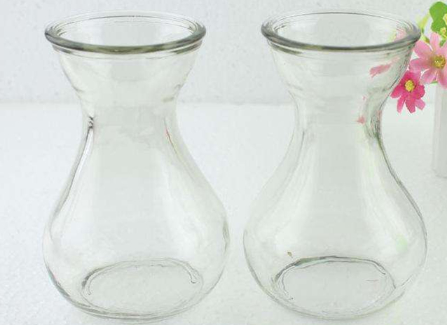 水培绿萝叶子发黄烂根解决方法,水培绿萝放肥料怎么烂根了还臭