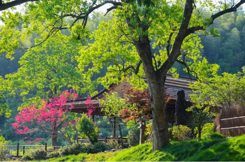 春游江淮请您来｜【安徽文旅系列品牌】2019年度安徽省百家精品民宿：黄山篇