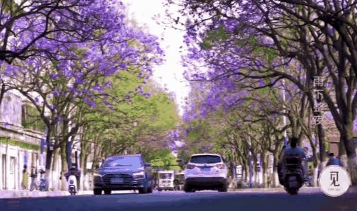 被大理丽江掩盖风头又怎样？它才是云南No.1！5月它太美了