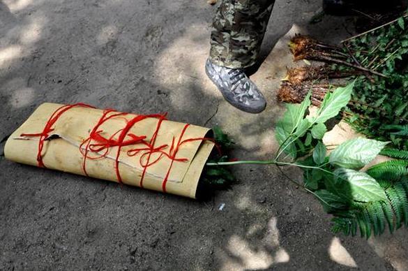 最近挖出来的野山参,百年野山参有多罕见