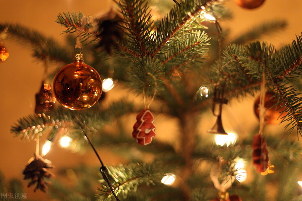 学生眼中的优秀英语老师,什么样的英语老师最受欢迎