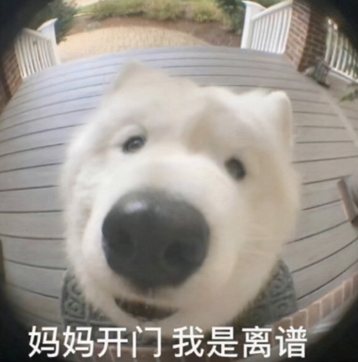 如何看电脑电源年份,一分钟了解电脑主机