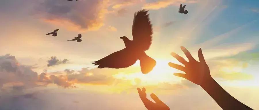 途鸟网络上海全境运营，各区区域事业合伙人占位召募中