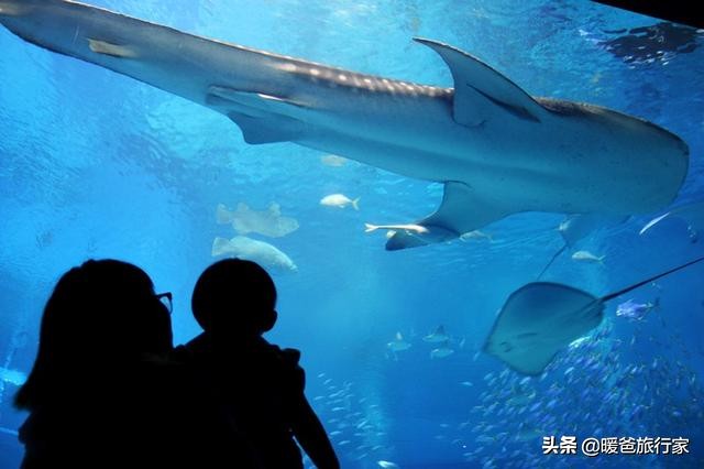 暑假带孩子去国外玩,寒假带孩子出国去哪里玩合适一些