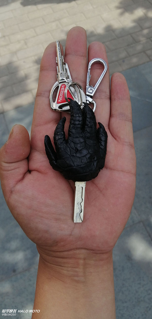 宝马摩托f750gs低配和高配的区别,宝马f750gs外观可以改成1250吗