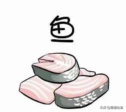 养鱼鱼食大全,养鱼知识大全鱼塘鱼食