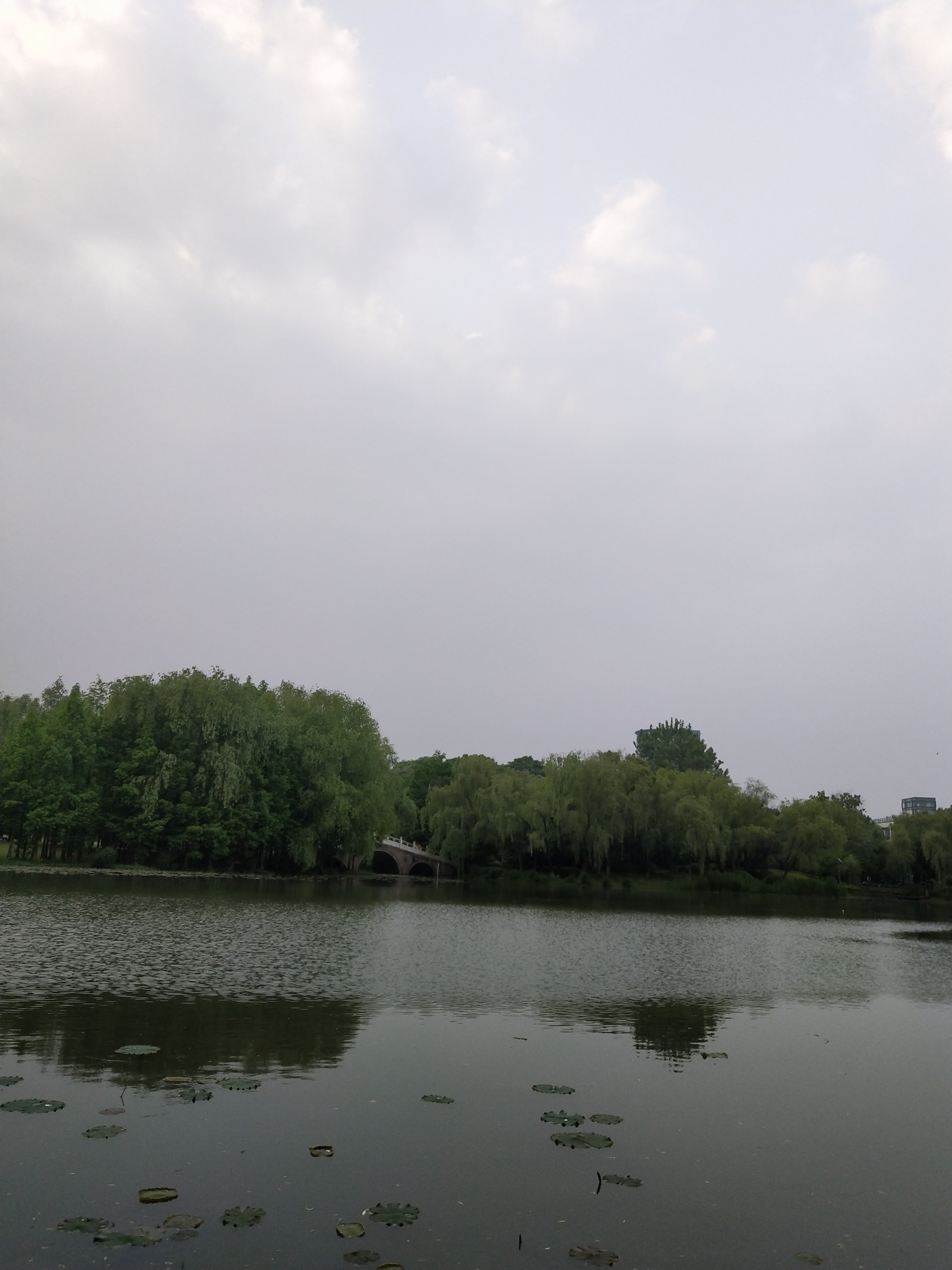 废水处理多效蒸发器设备,废水蒸发处理设备