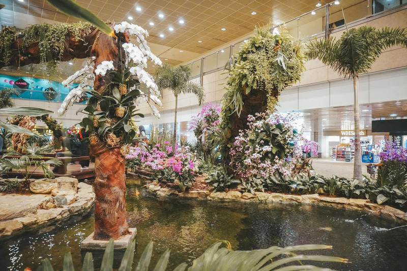 一人一猫环游,一人一猫旅行