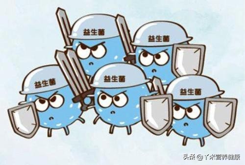 女性防护益生菌,蔓越莓益生菌对妇科炎症有效果吗