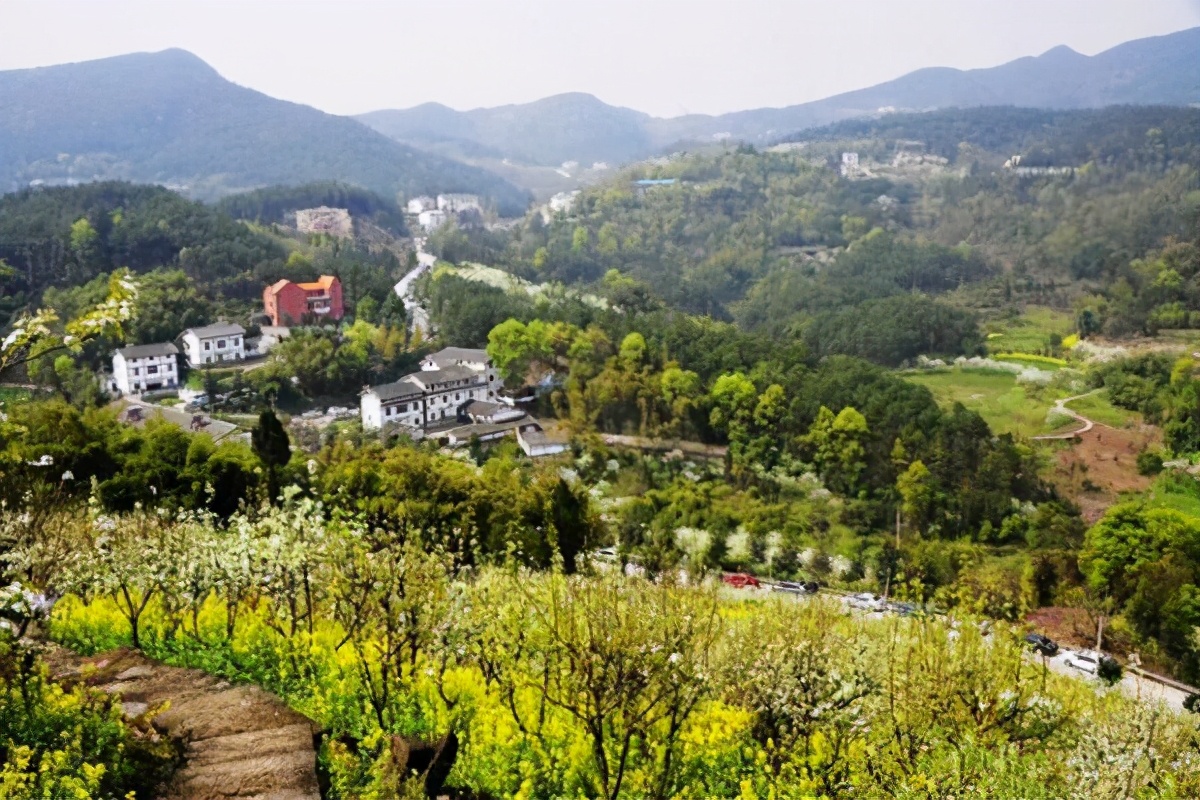 重庆有特色的山中民宿,重庆十大山景民宿排名