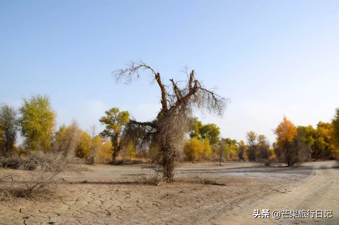 一月份从甘肃出发去新疆,从甘肃出发去新疆旅行