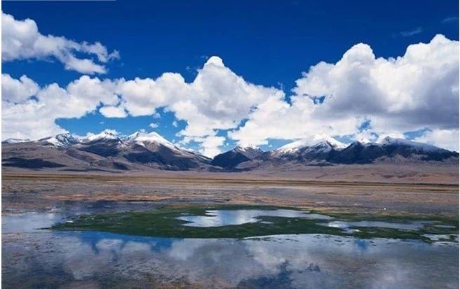 李白写出了大唐盛世,李白描写大唐盛世繁华的句子