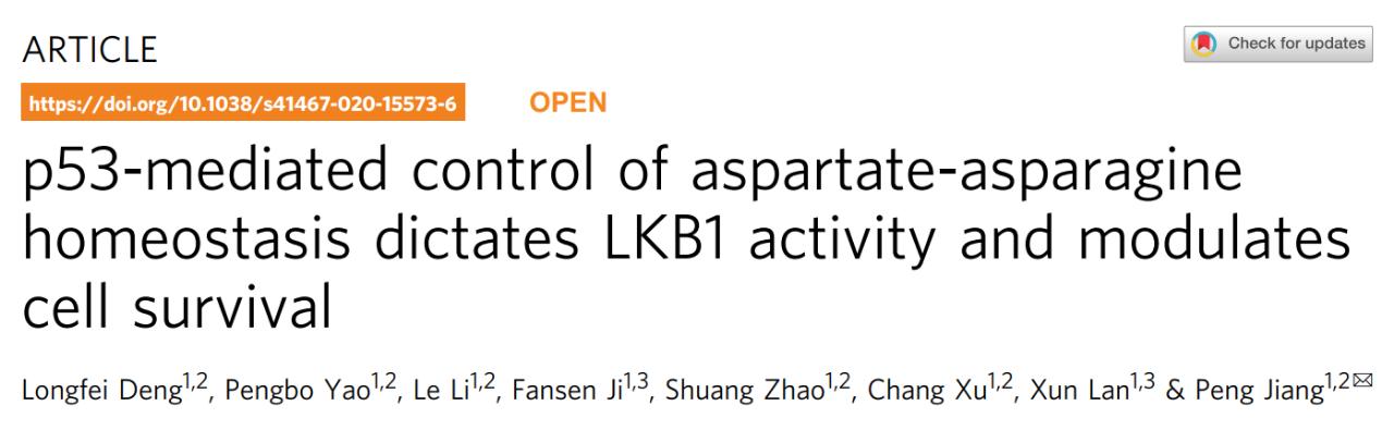 清华大学江鹏课题组发现p53调控肿瘤细胞存活新机制