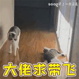 趣闻——九锋一卫到底怎么踢