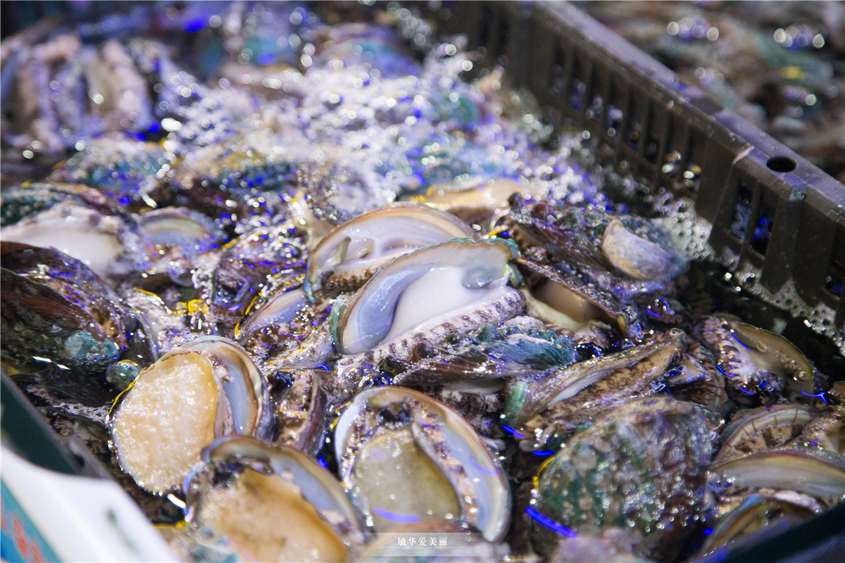 三亚哪里可以逛街带娃,在三亚带儿童玩的地方