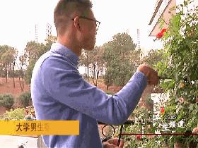 “别人家系列”！江大“宝藏男孩”，在宿舍里打造了一座“空中花园”