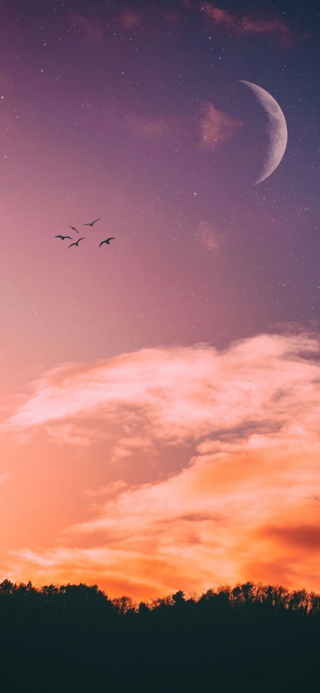 自制壁纸推荐图,自制壁纸1张