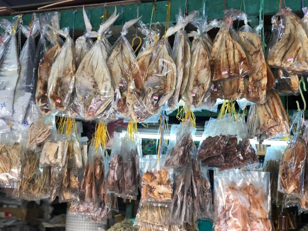 出不了门的心情,出不了门的日子让人心绪难平