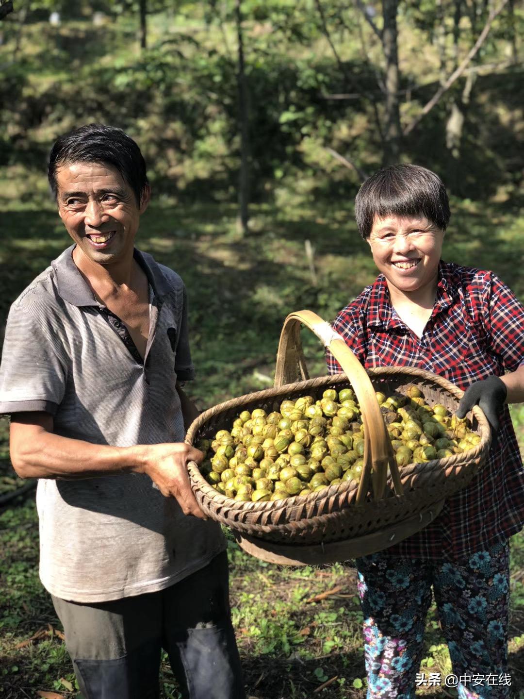 一鸣惊人宣城,一鸣惊人的最佳方法