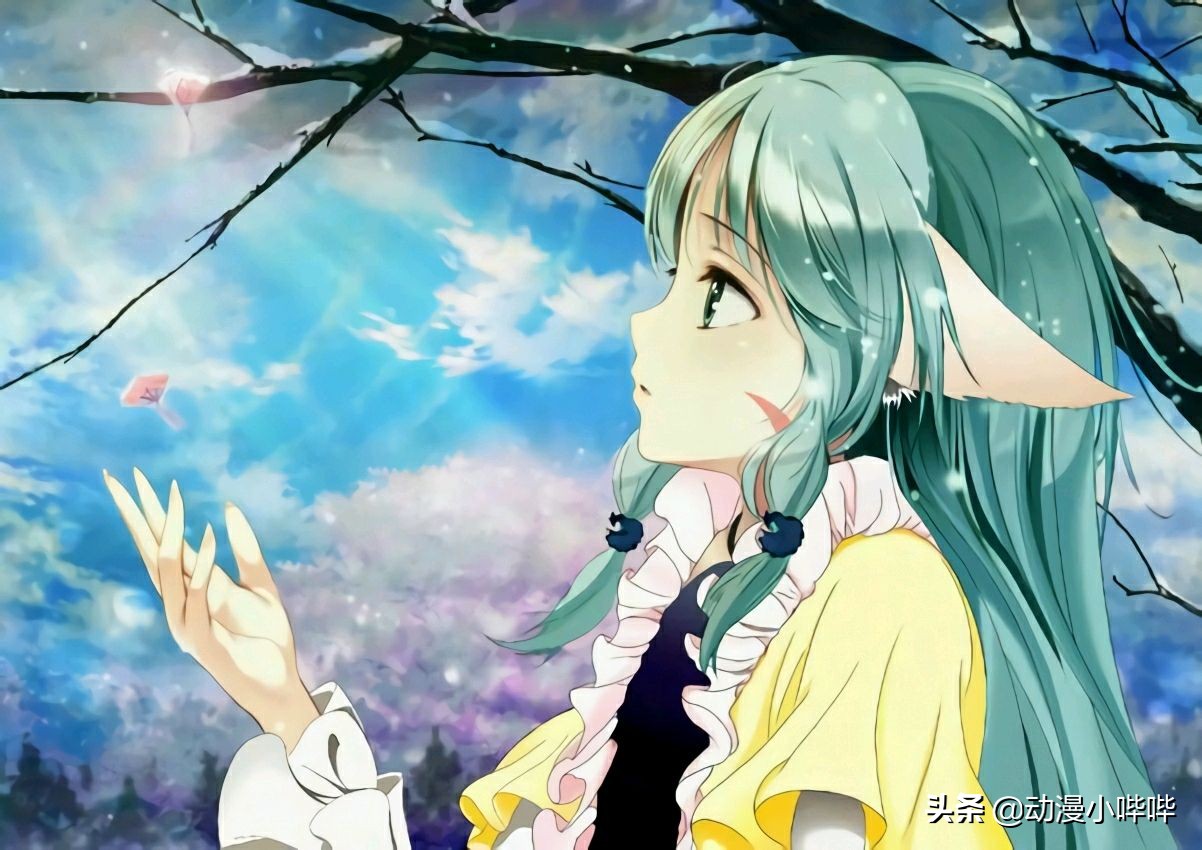 新番,旧番,表番,里番,看动漫这么多年这些番剧名词你懂了吗?