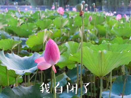 90后和00后的代沟合集,90后跟00后的代沟是挺大的