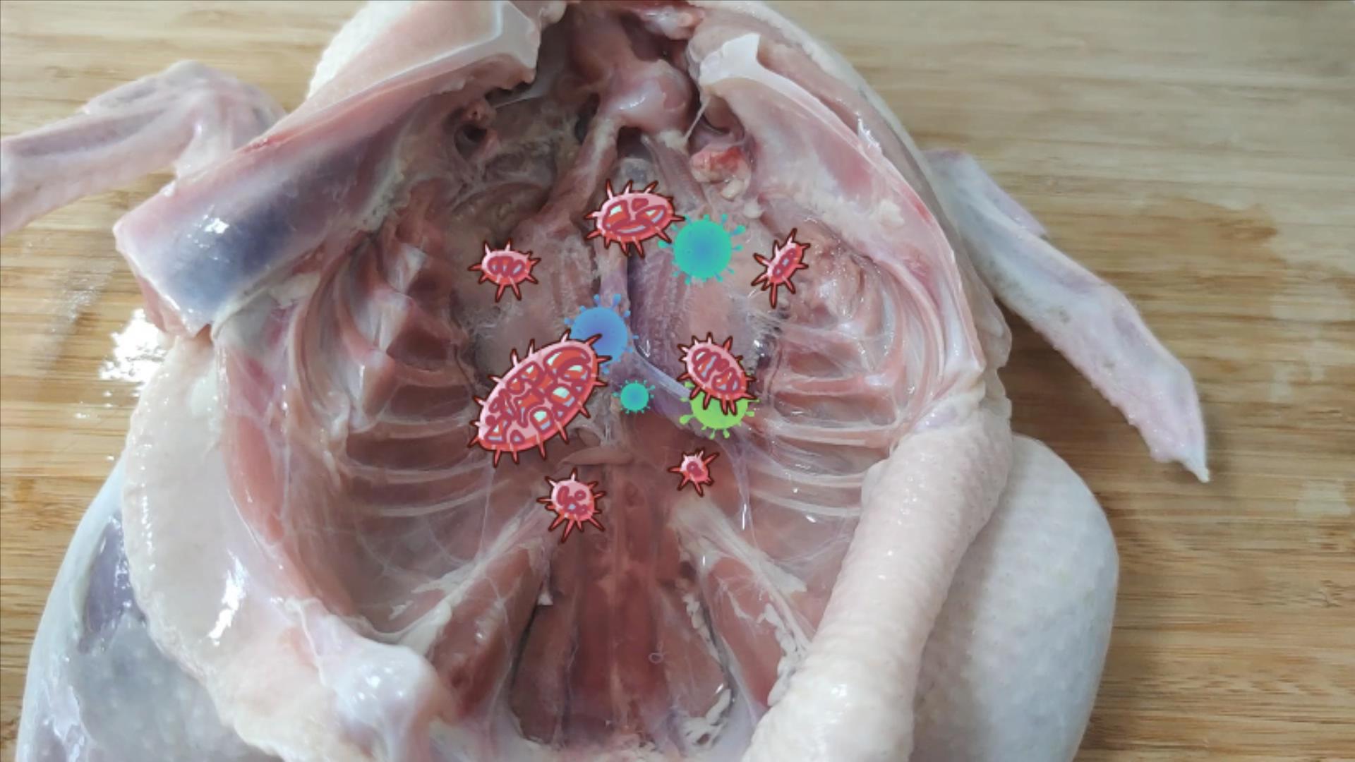 六种疾病不能吃鸡鸭,鸭有6个部位毒素最重建议要少吃