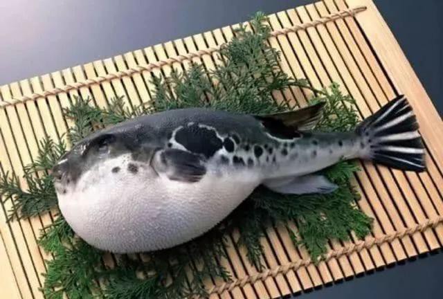 哪种海鲜的味道最鲜美,世界上最鲜美的海鲜