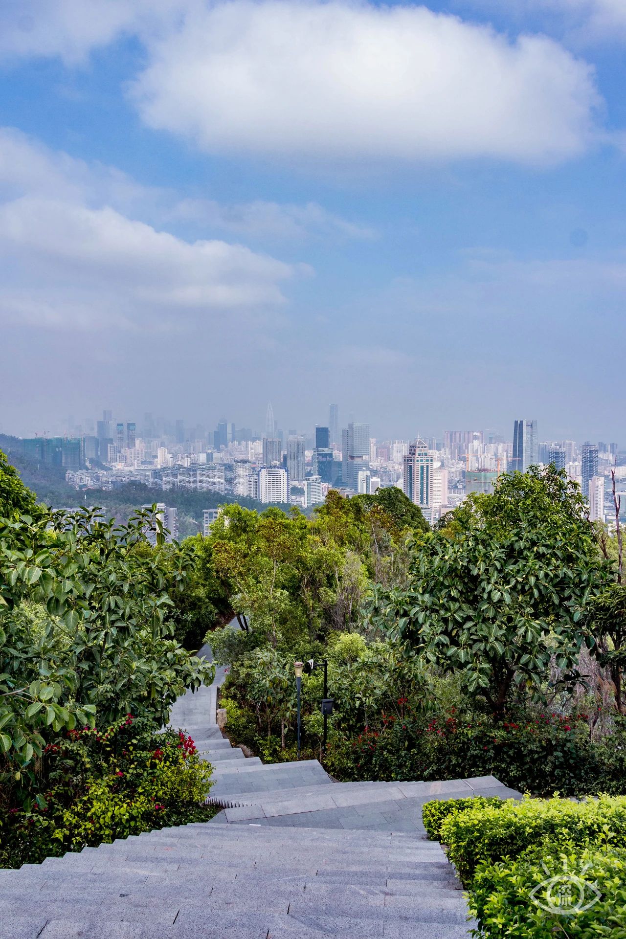 深圳这27个热门游玩地，坐2号线全都能到