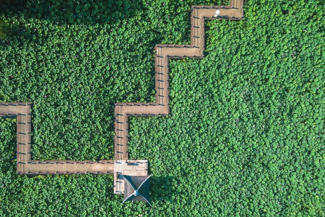 武汉冬季好玩的免费景点,武汉东湖免费景点有哪些