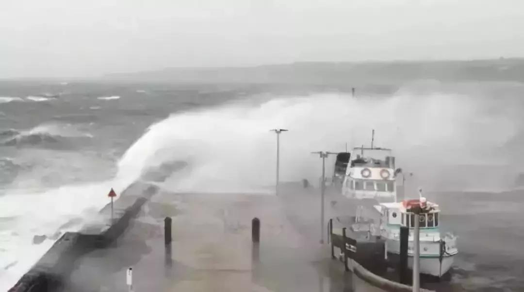 地球5年后的大灾难,地球病了会好起来吗