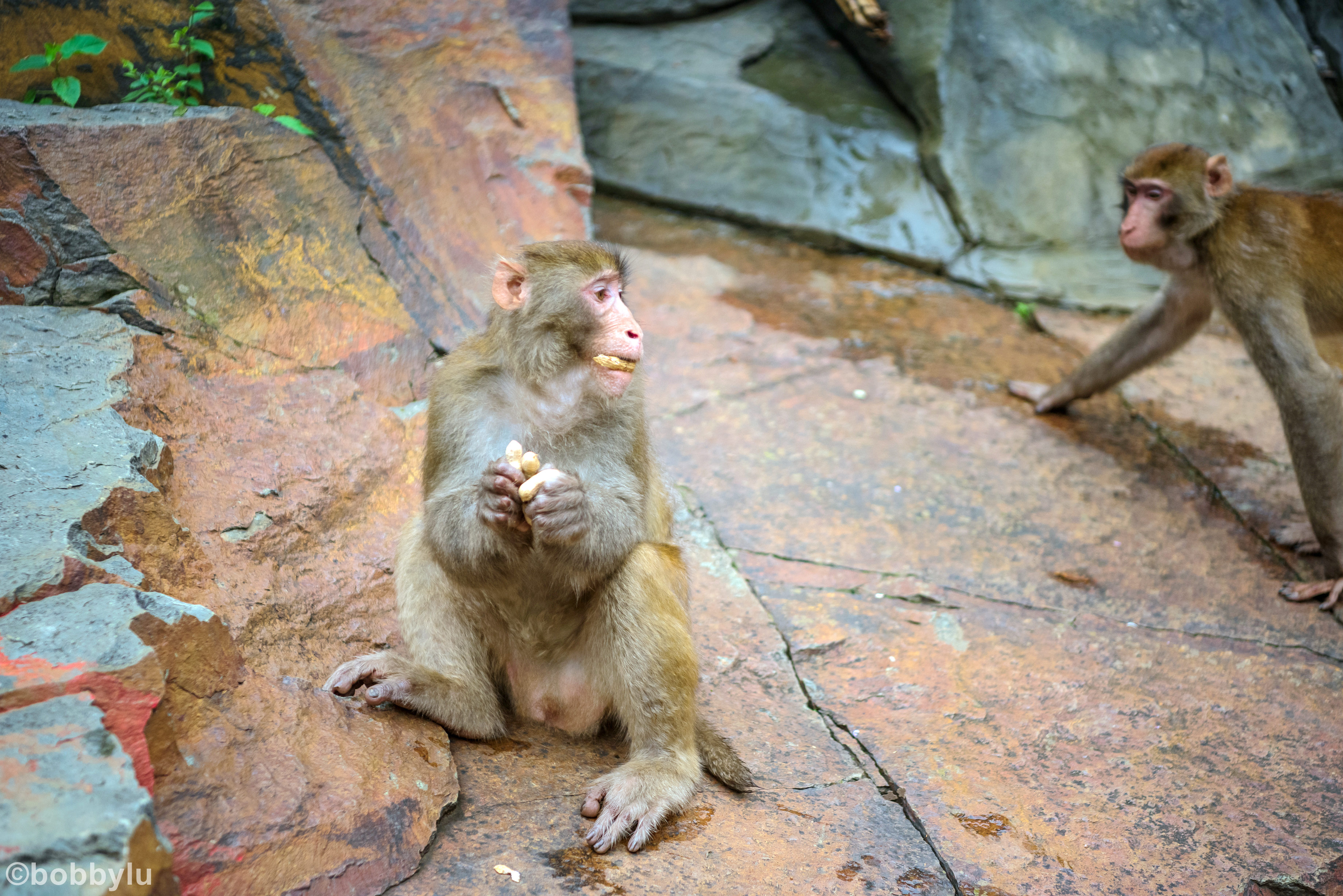 隐藏在深山里的网红景点,隐藏深山古村堪称世外桃源