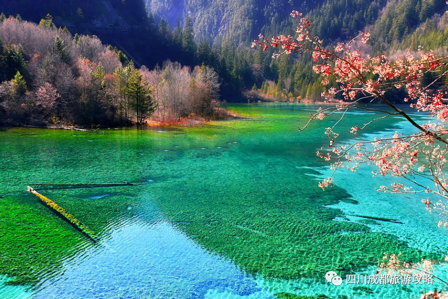 九寨沟跟阿坝州旅游,九寨沟与周边游