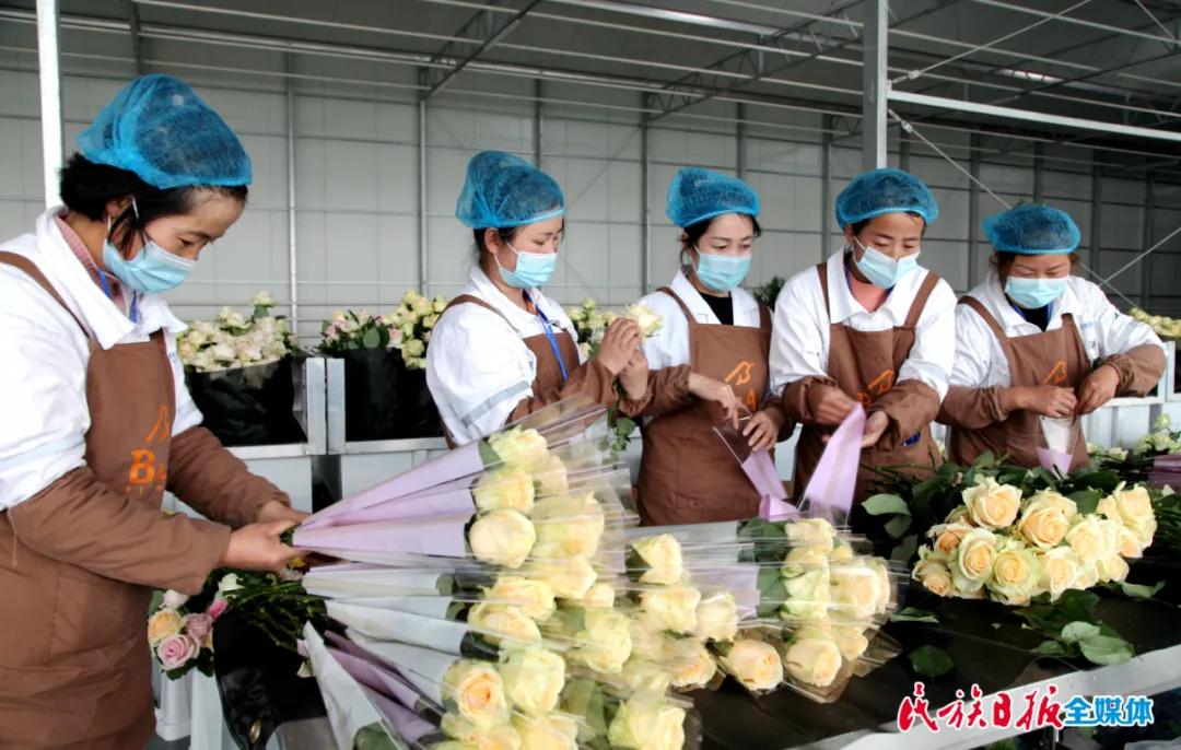 2024先进基层党支部申报事迹材料,2024年先进党支部事迹材料