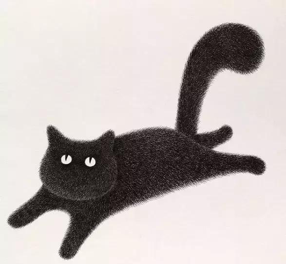 她用2元针管笔作画便惊艳了世界,他用粉笔画了一只猫